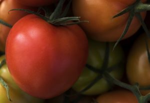 Brighthouse Organics Vine Ripened Tomatoes