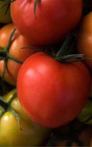 Brighthouse Organics Vine Ripened Tomatoes
