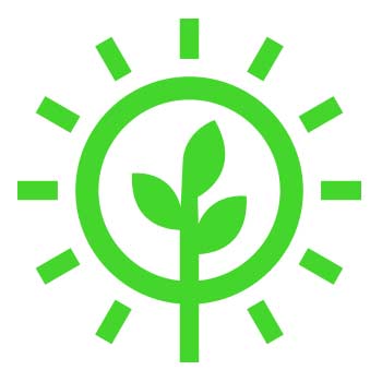 Grow Clean Icon